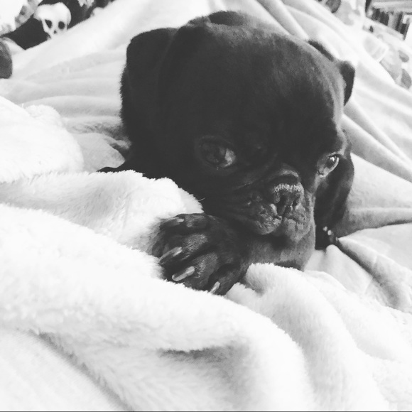 Meet your Posher, Andrea - Picture 3 of 3